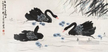 Cisnes negros de Wu zuoren China tradicional Pinturas al óleo